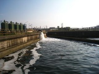 1456907502101731.jpg t0145e507152c4900cb.jpg